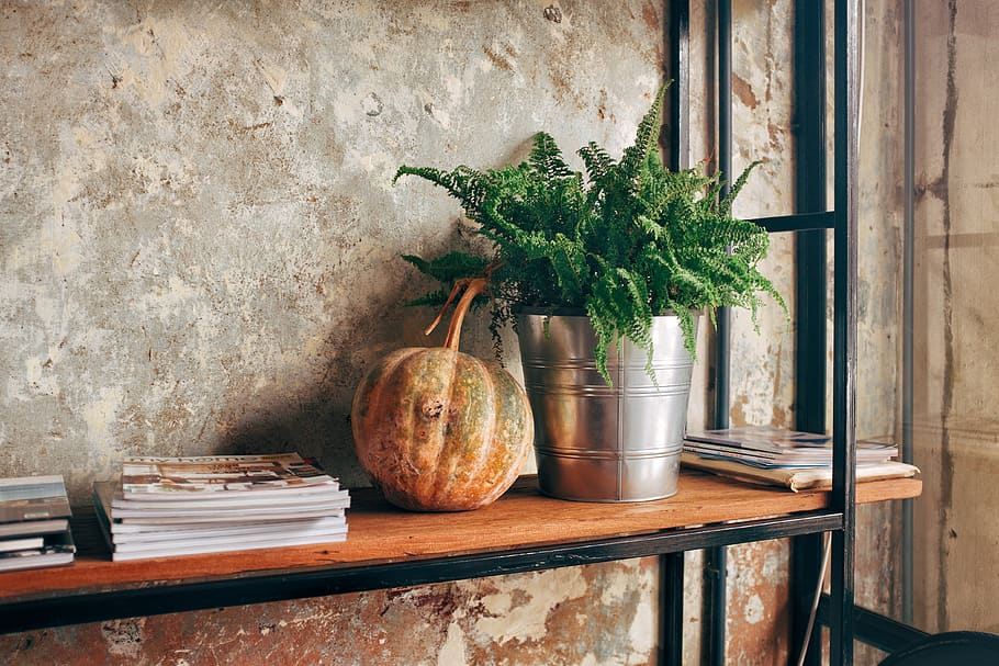 corner, decor, decorate, plant, decorative, modern, indoor HD wallpaper