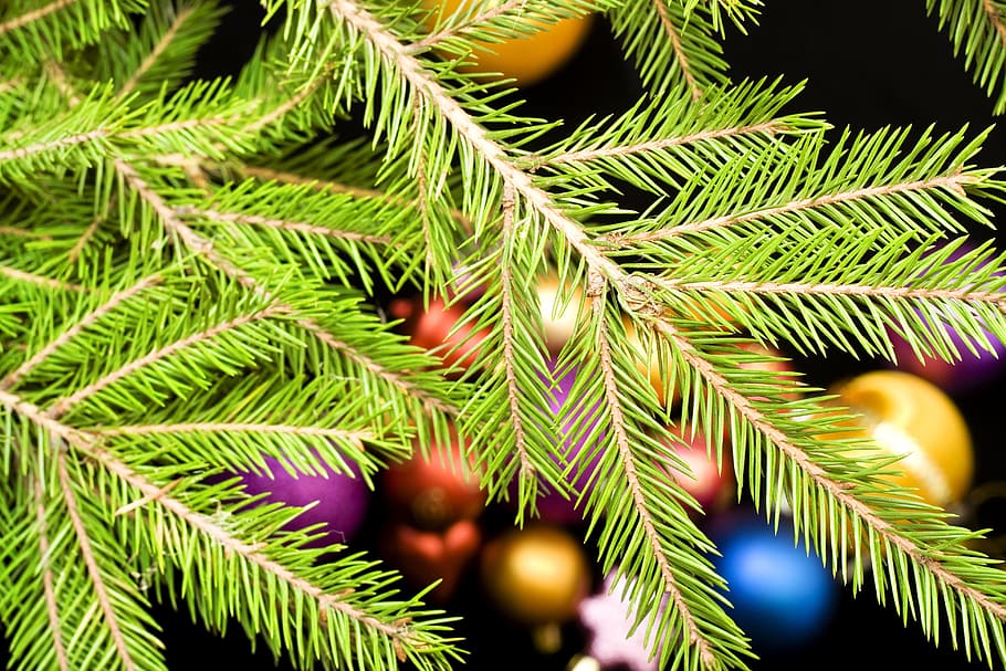 ball, bauble, black, bright, celebration, christmas, christmas-tree HD wallpaper