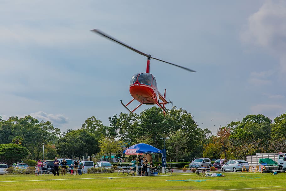 Tree chopper