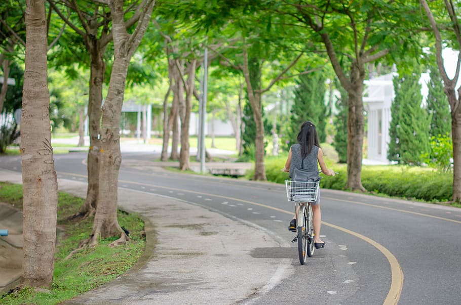 HD wallpaper: Road with a green tree and woman on bike, street,  transportation | Wallpaper Flare