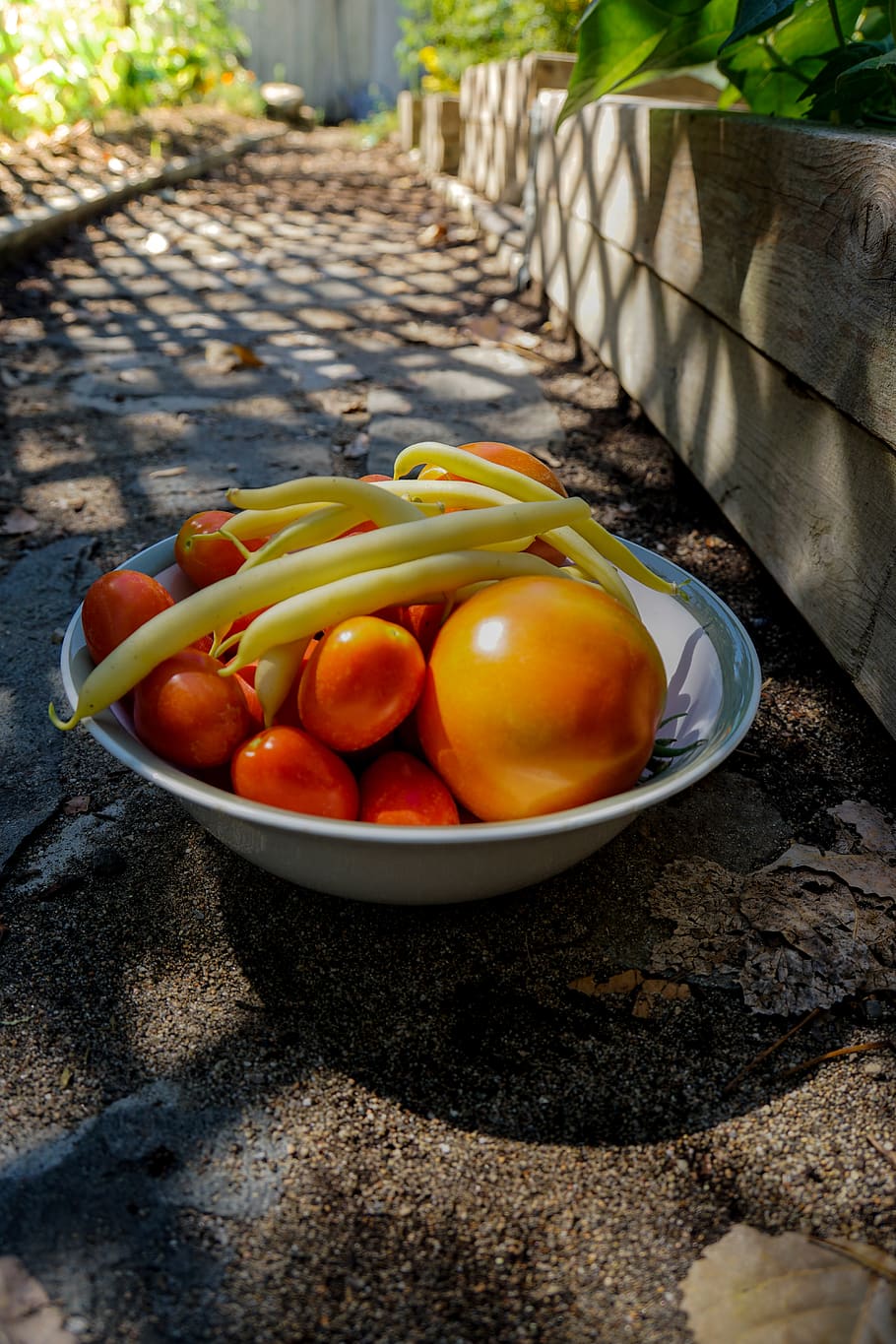 canada, okanagan falls, pathway, vegetable, garden, light, shadow HD wallpaper