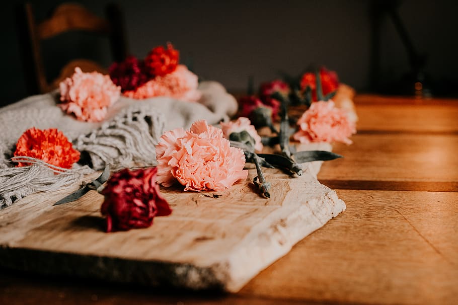 Flowers on Table, beautiful, bloom, blooming, blossom, blur, celebration HD wallpaper