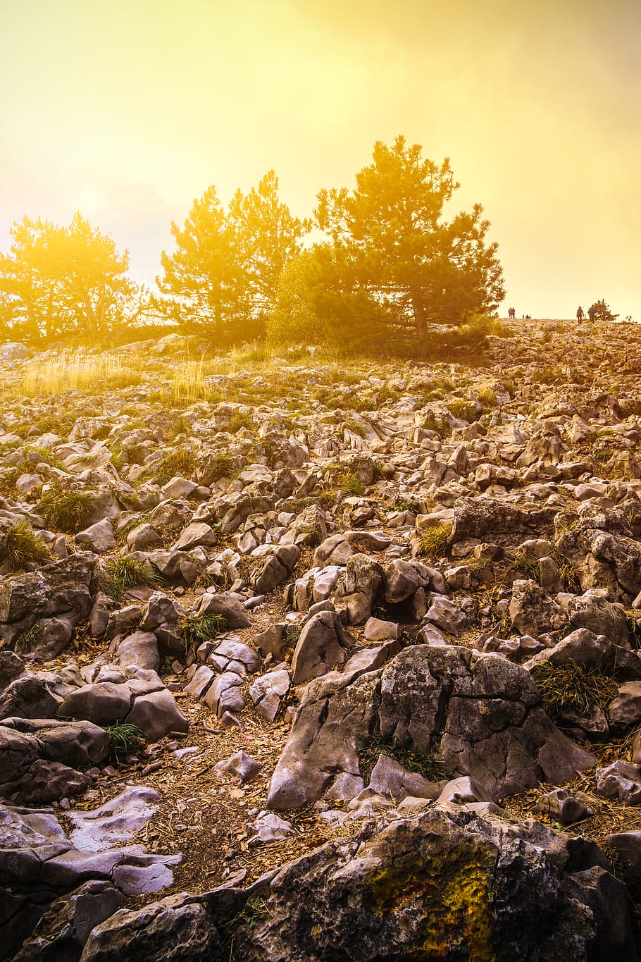 Black Rock Formation Near Trees, colors, daylight, environment HD wallpaper