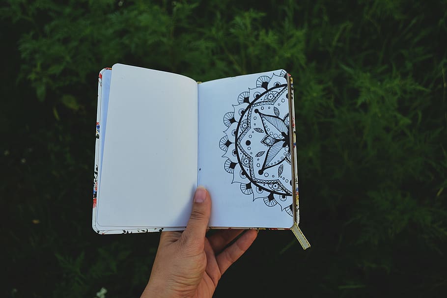 Person Holding Open Book with Floral Drawing , diary, hand, journal HD wallpaper
