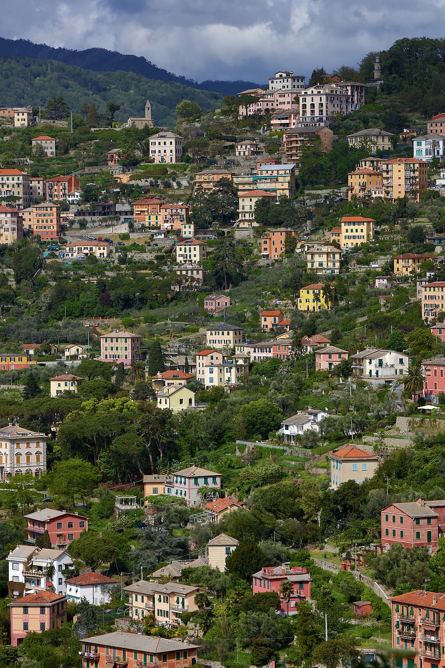 italy, liguria, building, house, tree, forest, landscape, roof, HD wallpaper