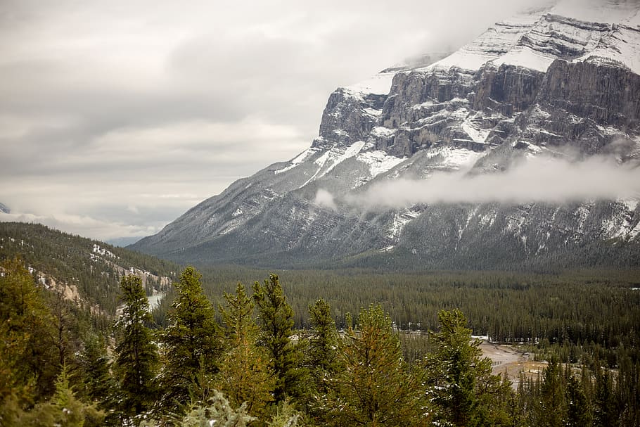 canada, banff, mountain, forest, snow, cloud - sky, beauty in nature HD wallpaper