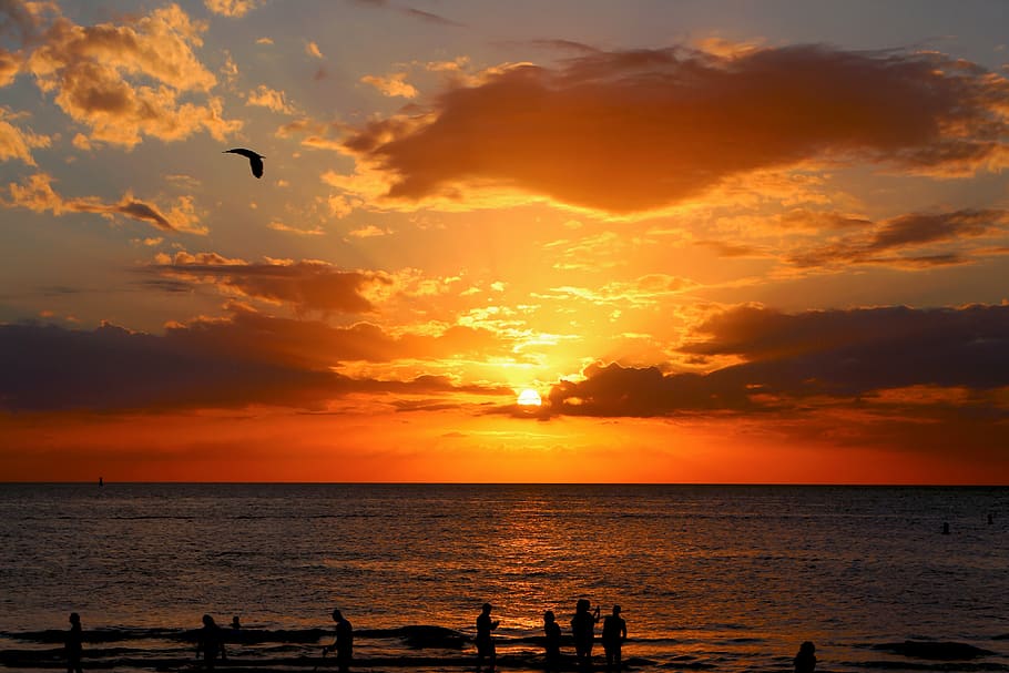 People Near Body of Water, backlit, beach, dawn, fun, horizon HD wallpaper