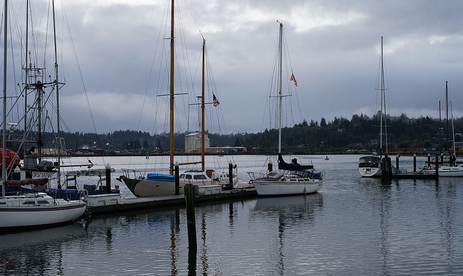 united states, coos bay, sail boat, oregon, nautical vessel