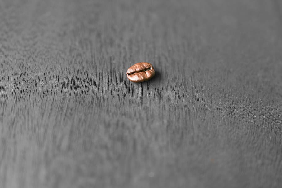 coffee bean, brown, one bean, brown bean, selective focus, close-up HD wallpaper
