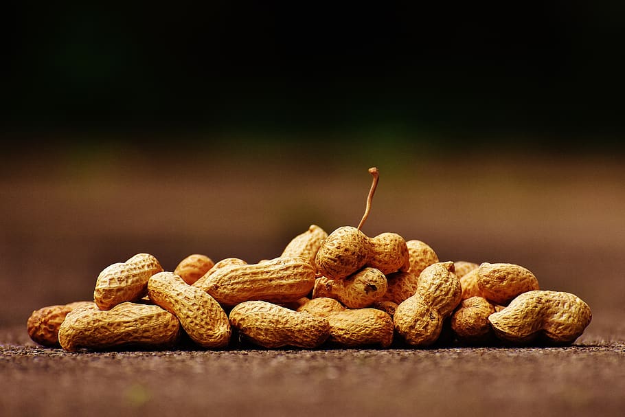 Brown Peanuts, food, snack, food and drink, no people, large group of objects HD wallpaper