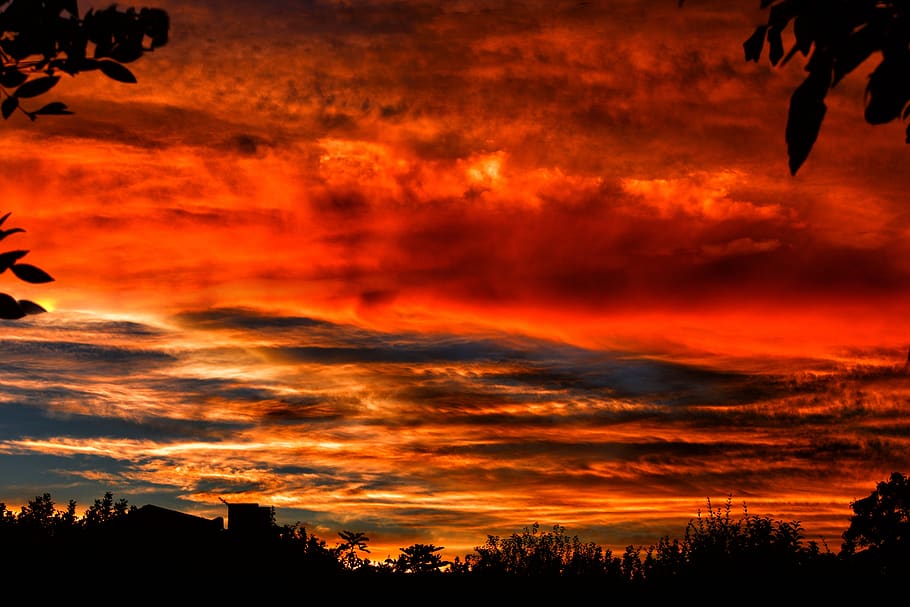 Silhouette of Trees during Sunset, backlit, clouds, cloudscape HD wallpaper