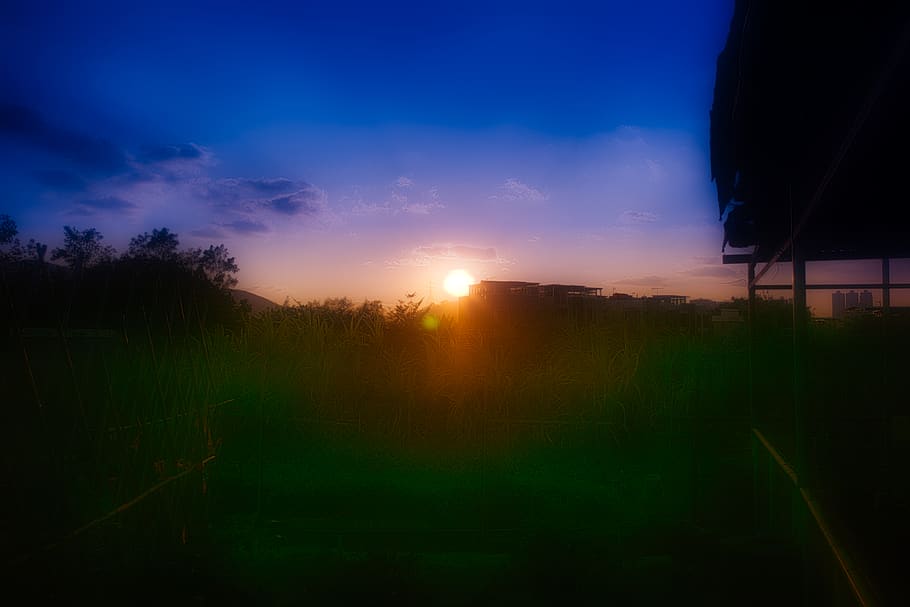 evening, sunset, sky, plant, cloud - sky, landscape, nature HD wallpaper