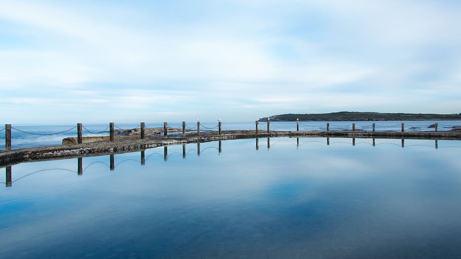 australia, maroubra, mahon pool, reflection, birds, seagull HD wallpaper