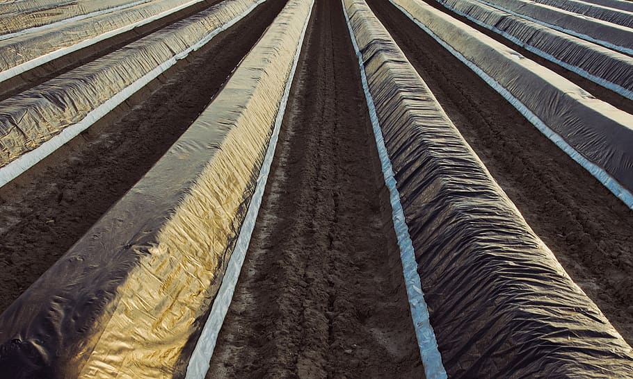 asparagus hills, slide, agriculture, wrinkled, abstract, plastic film, HD wallpaper