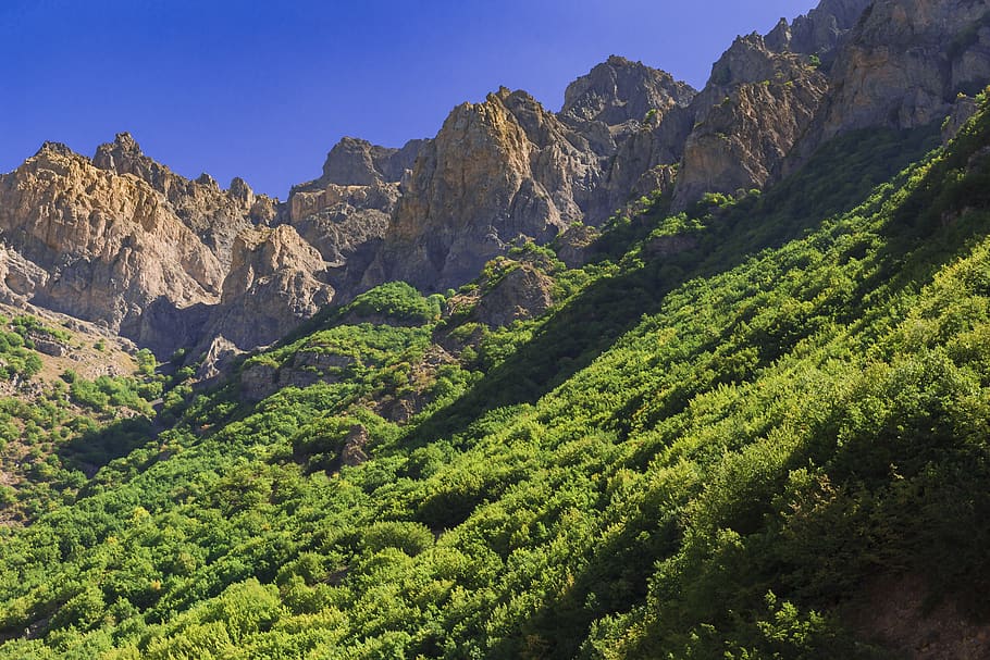 mountains, jungle, sky, plant, tree, environment, land, landscape HD wallpaper