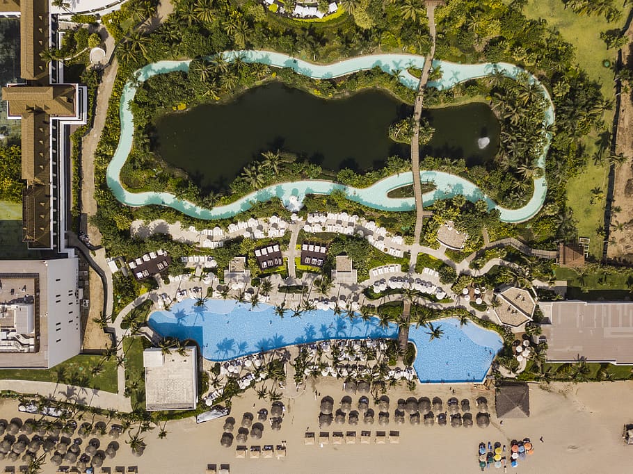 Areal Photography Of Swimming Pool Surrounded By Trees, aerial shot