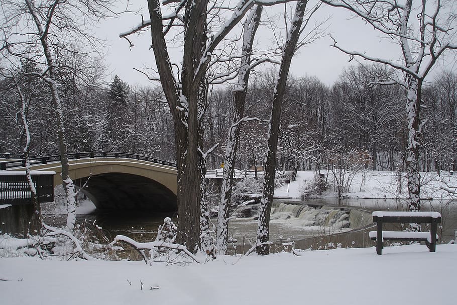 winter, landscape, snow, cold, trees, bridge, bench, cold temperature HD wallpaper