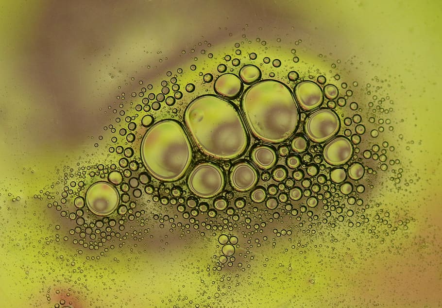 drops, macro, water, liquid, coloring, reflection, bubble, geometric shape HD wallpaper