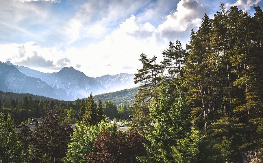 austria, seefeld, trees, mountains, clouds, green, plant, cloud - sky HD wallpaper