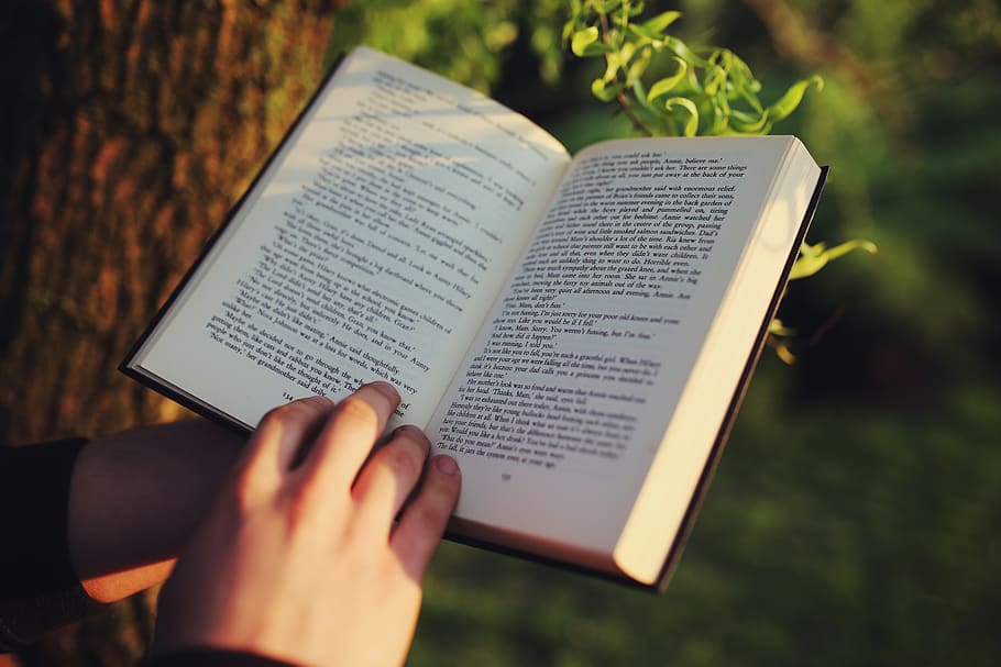 Reading the book, hobby, learning, literature, novel, human hand HD wallpaper
