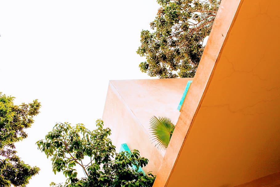 mexico, tulum, shape, plants, jungle, wall, orange, summer HD wallpaper