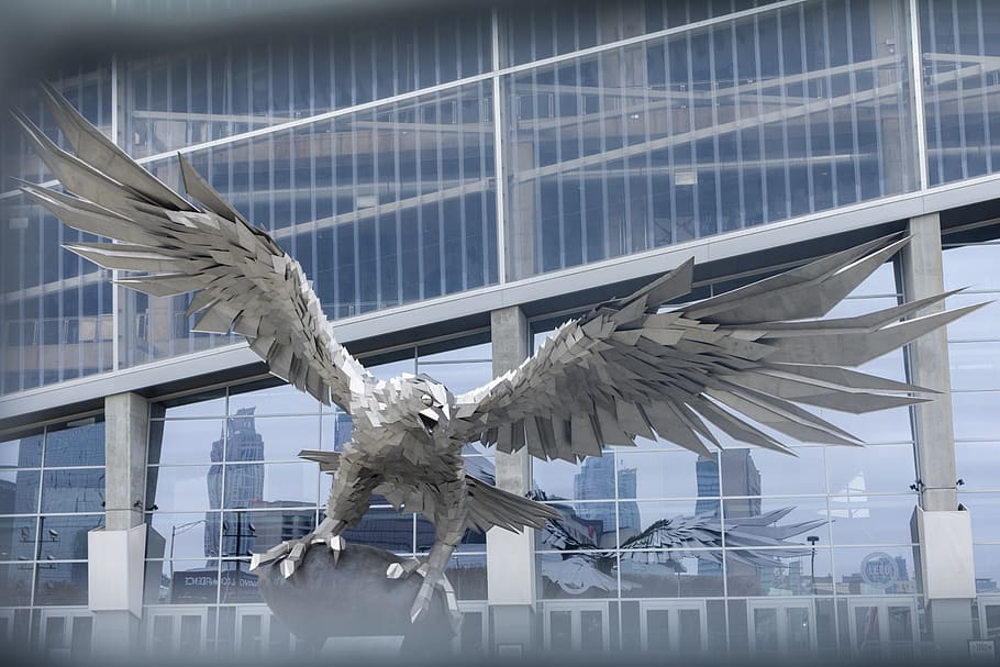 bird, animal, vulture, eagle, condor, flying, office building, HD wallpaper