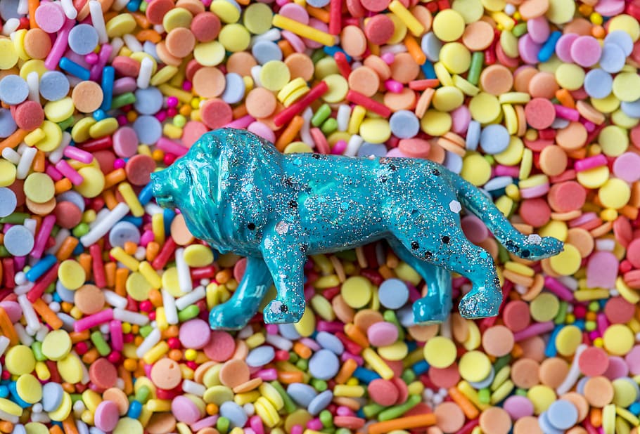 animal, bonbon, candy, childhood, colorful, confectionery, confetti, HD wallpaper