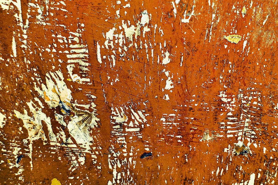 brown and white wooden wall, rust, animal, invertebrate, insect, HD wallpaper