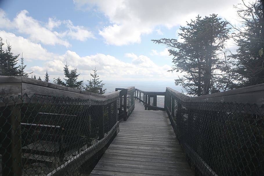 wood, path, trial, bridge, nature, trek, sky, clouds, trees HD wallpaper