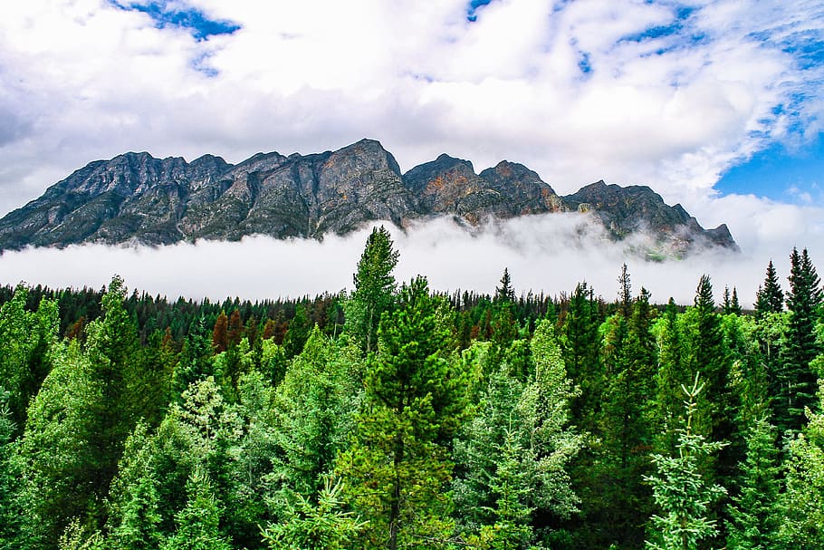 mountains, nature, clouds, cloudy, plant, tree, sky, scenics - nature HD wallpaper