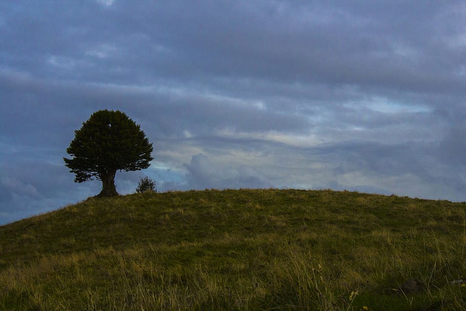 chile, ancud, clouds, countryside, campo, tree, nature, hills HD wallpaper