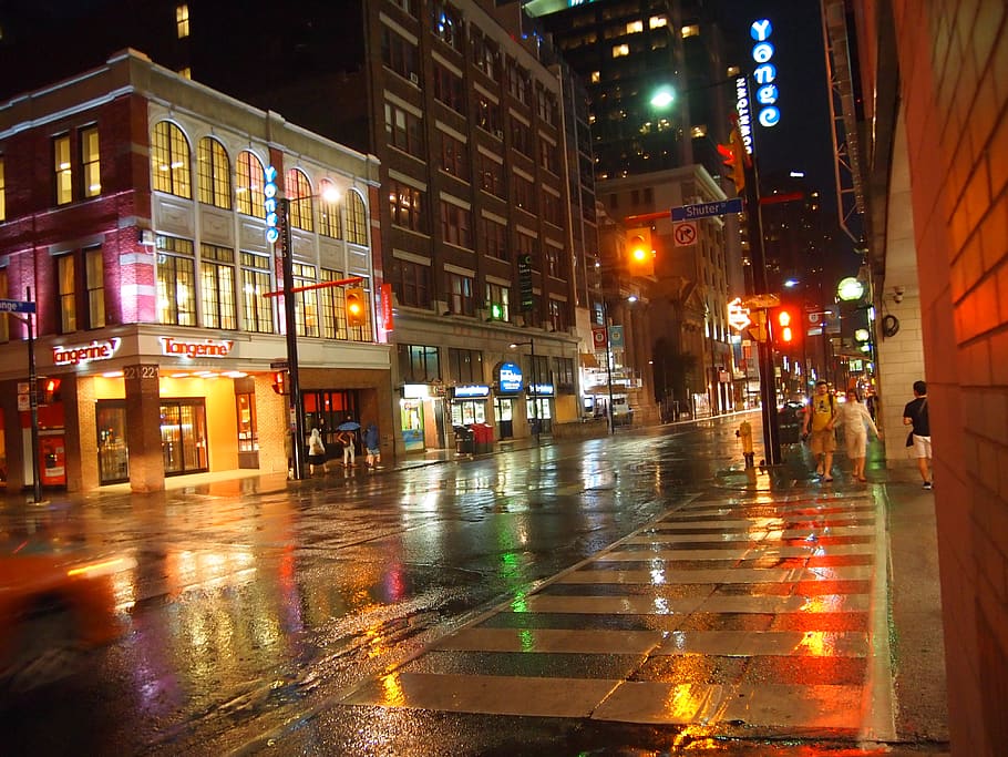 toronto, canada, 토론토, night, after rain, toronto downtown HD wallpaper