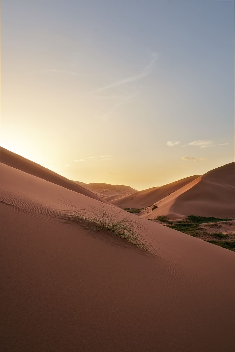 Sand, Beach, Dune, Desert