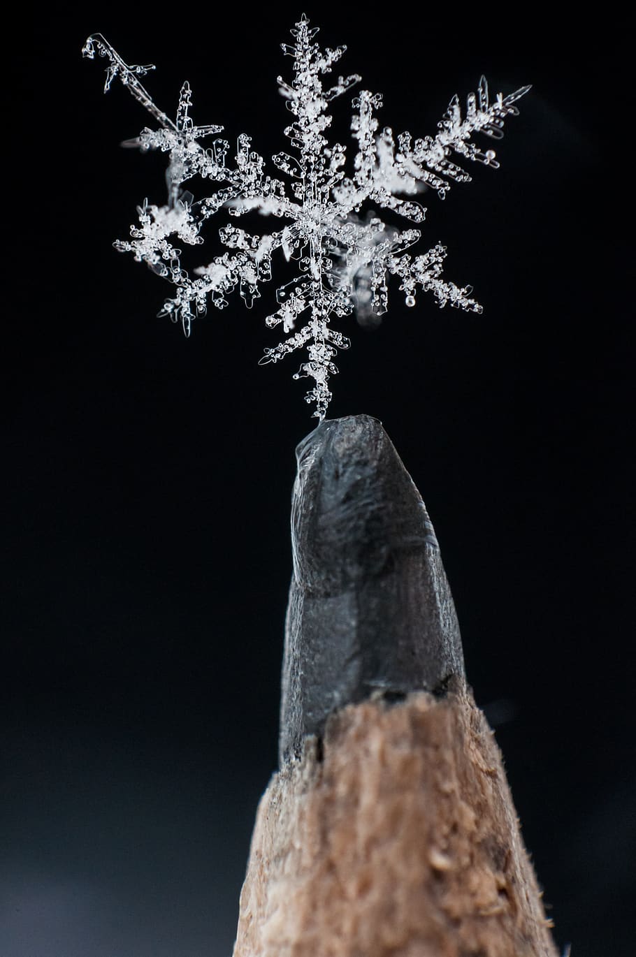 white snowflakes, cross, symbol, crystal, macro, ice, outdoors, HD wallpaper