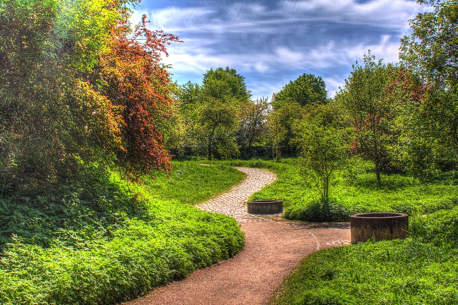 autumn, leaves, trees, background, october, hdr, away, nature HD wallpaper