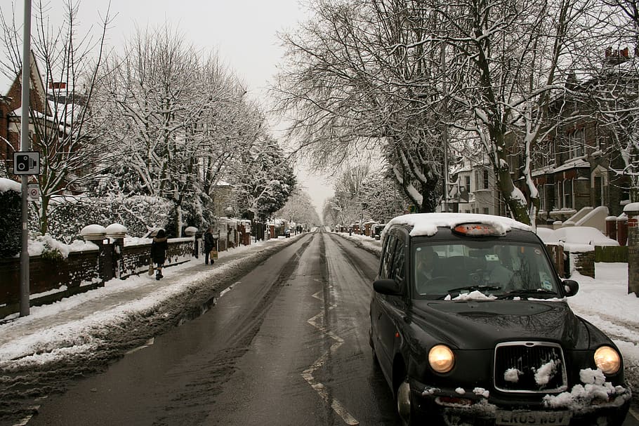 london, united kingdom, snow, britain, white, taxi, trees, cab, HD wallpaper