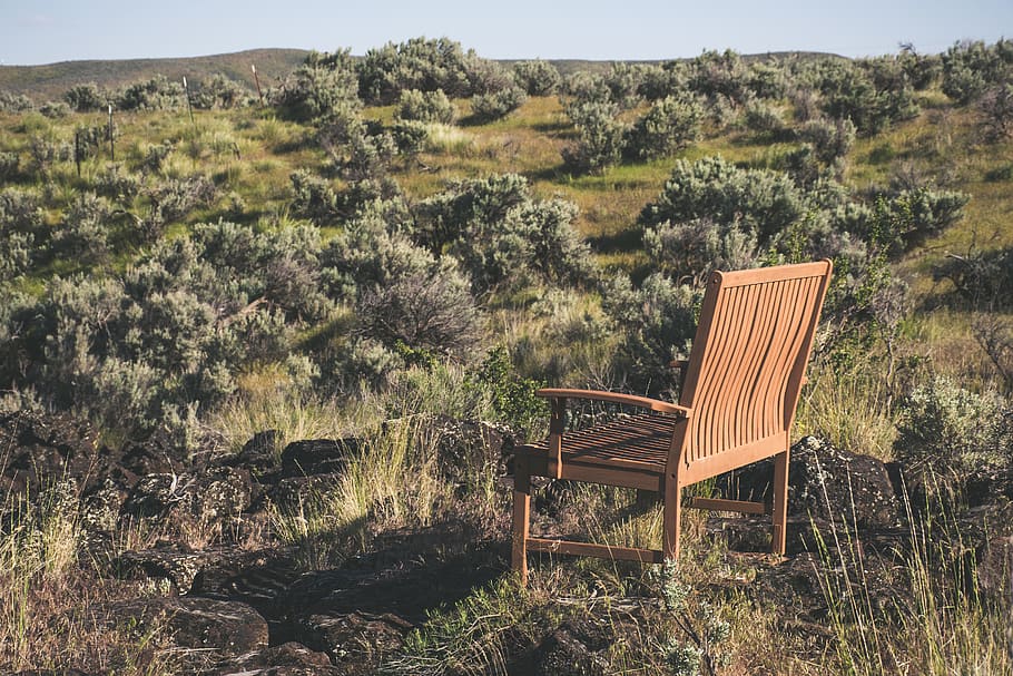 Brown Wooden Bench on Green Grass Field, chair, daylight, environment HD wallpaper