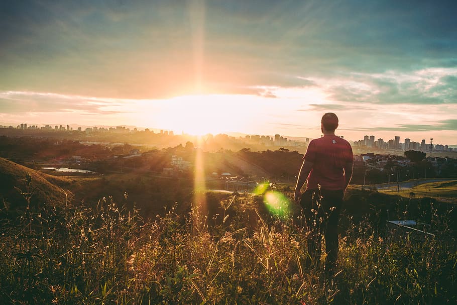 Man Standing on Green Grass, back view, backlit, boy, city, clouds HD wallpaper
