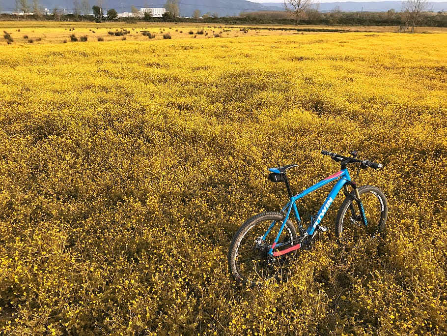 turkey, sakarya, spring, bicycle, flowers, field, land, transportation HD wallpaper