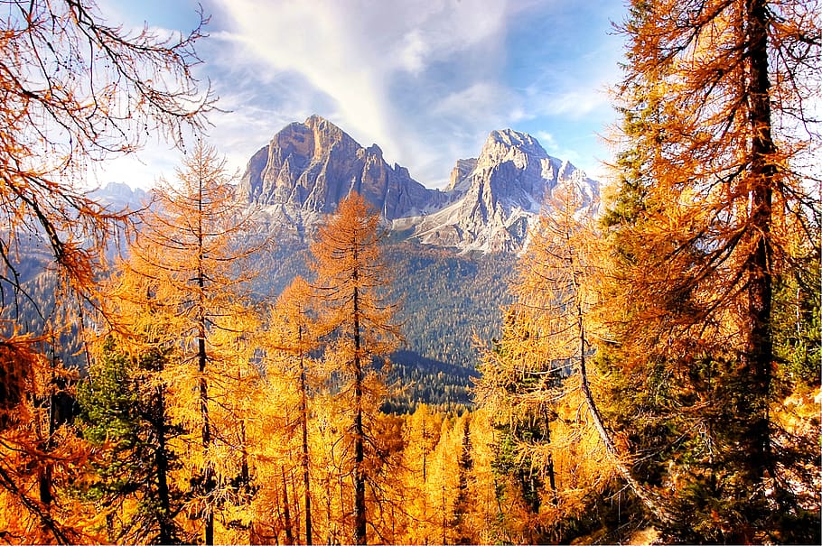 autumn light, dolomites, mountains, larch, rock, mood, nature, HD wallpaper