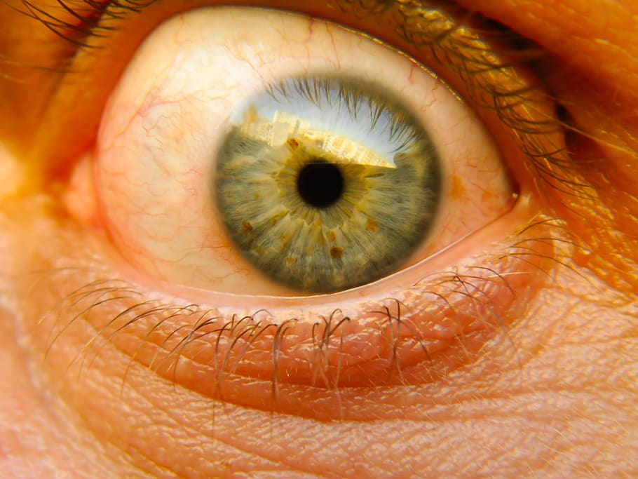 eye, man, people, macro, pupil, nature, mammals, closeup, color HD wallpaper