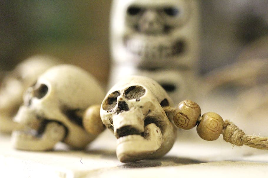 skull, skeleton, altar, ritual, bones, dead, death, halloween, HD wallpaper