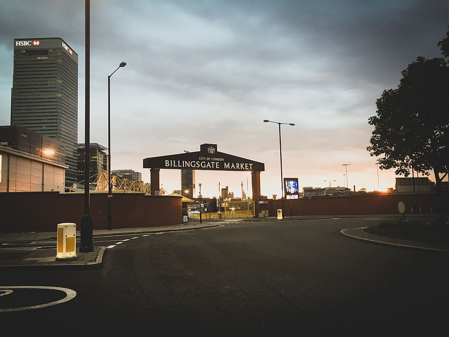 Empty Road Near Trees, architecture, building, clouds, downtown HD wallpaper