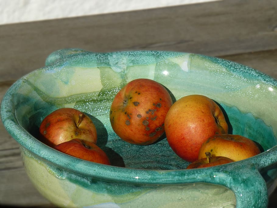 apple, fruit, shell, ceramic, food, food and drink, freshness HD wallpaper