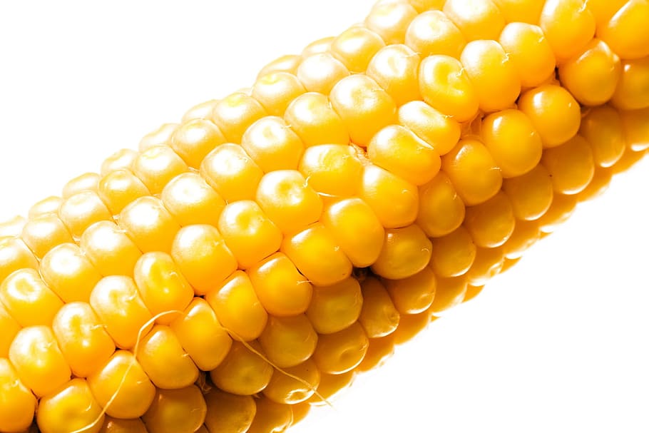 corn, closeup, isolated, grain, vegetarian, produce, ripe, natural HD wallpaper
