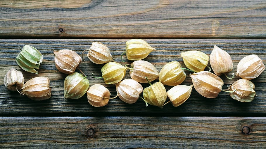 autumn, wood - material, table, still life, freshness, healthy eating HD wallpaper