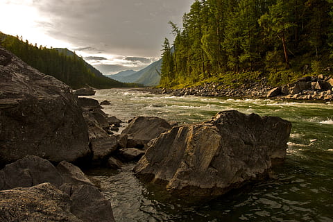 river between trees and rocks, wilderness, rapid, nature, outdoor HD wallpaper