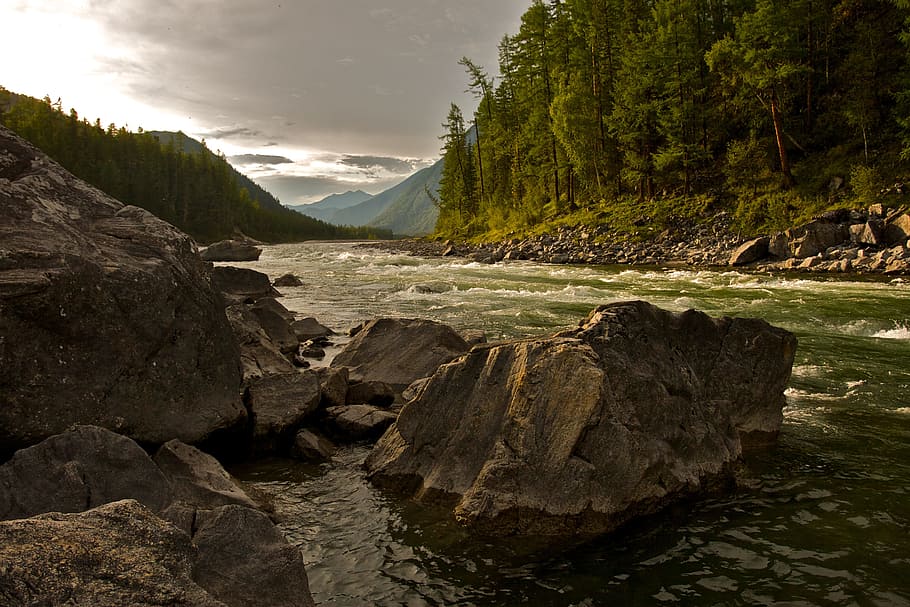 river between trees and rocks, wilderness, rapid, nature, outdoor HD wallpaper