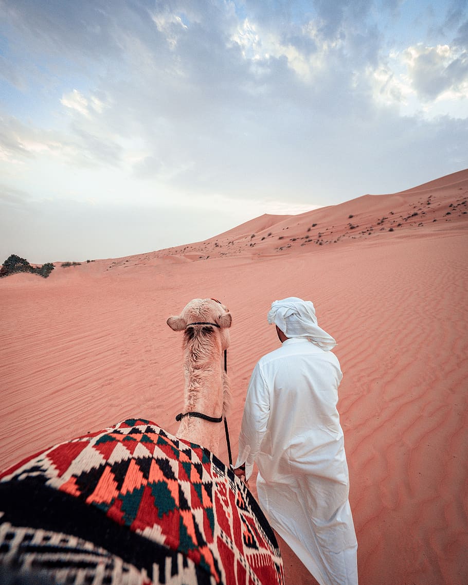 man pulling camel, sky, cloud - sky, desert, real people, scenics - nature HD wallpaper