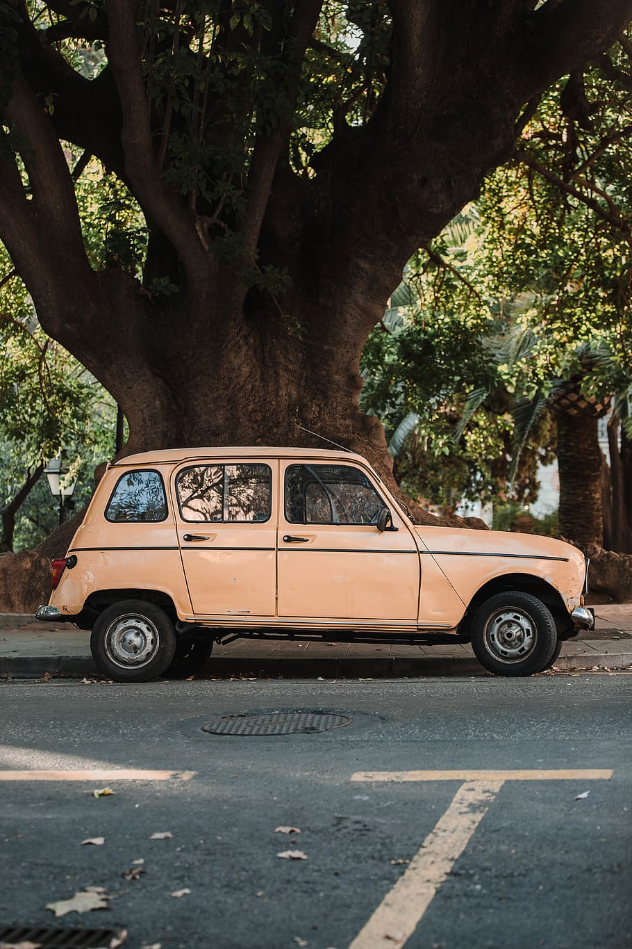 spain, palma, tree, car, shadow, transportation, mode of transportation HD wallpaper
